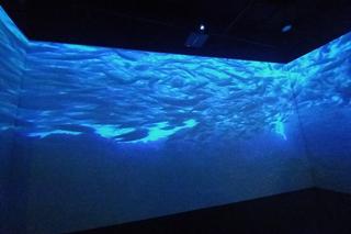 Save the Planet : Ocalmy Planetę! - wyjątkowa wystawa w Fabryce Norblina