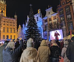 Gdańska choinka rozbłysła. Zobaczcie nasze zdjęcia!