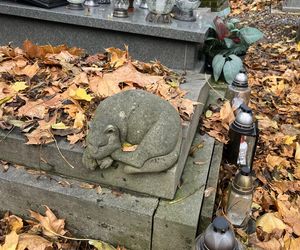 Tu spoczywają architekci na krakowskich cmentarzach