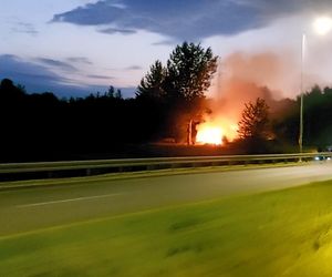 Pożar pustostanu w Rzeszowie [GALERIA]