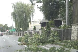 Skutki nawałnic w Polsce