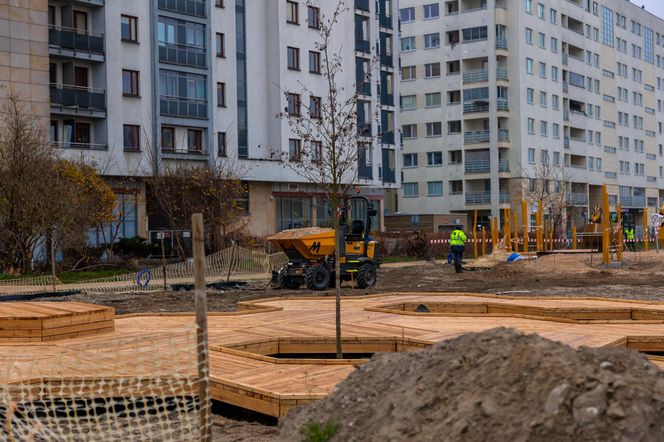 Pierwsze drzewa w parku nad obwodnicą na Ursynowie