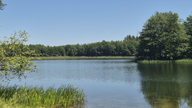 To jedno z największych jezior w Olsztynie. Kusi turystów piaszczystymi plażami