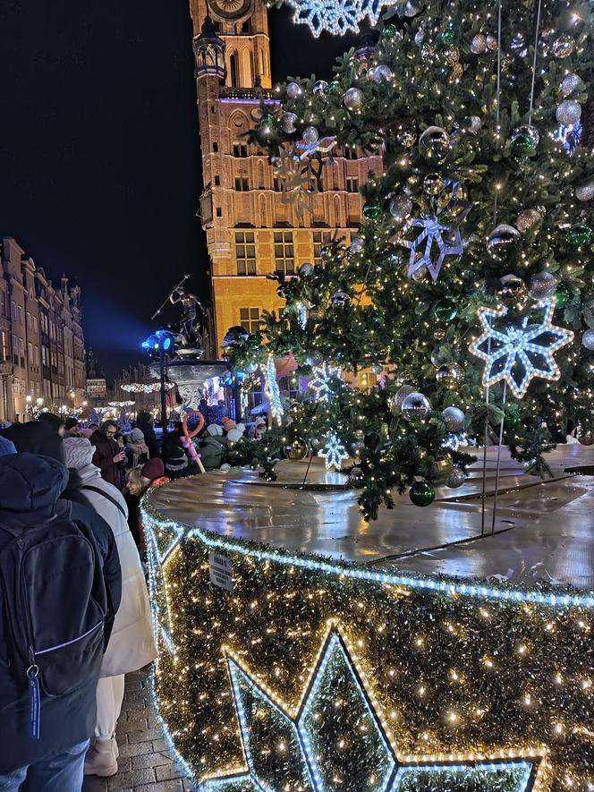 Gdańska choinka rozbłysła. Zobaczcie nasze zdjęcia!