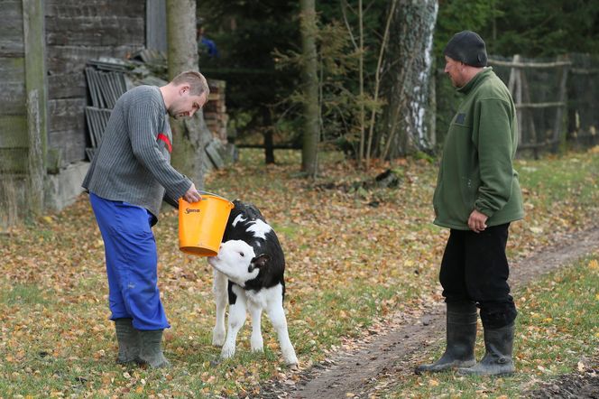 Rolnicy Podlasie. Andrzej z Plutycz oraz jego gospodarstwo