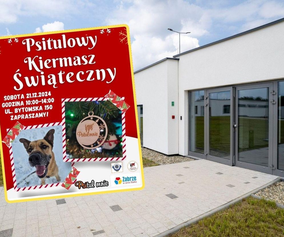 Wspólnie na rzecz bezdomnych psów i kotów. W Zabrzu odbędzie się Świąteczny Kiermasz 