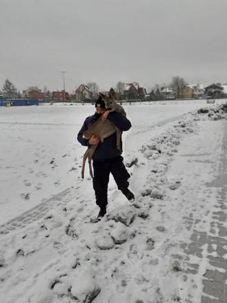 Olsztyn. Sarenka utknęła na "Orliku". Pomogli strażnicy miejscy