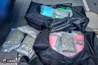 Blisko 200 kg narkotyków w magazynie na warszawskim osiedlu