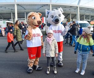 Stadion Śląski 11 Listopada 2024