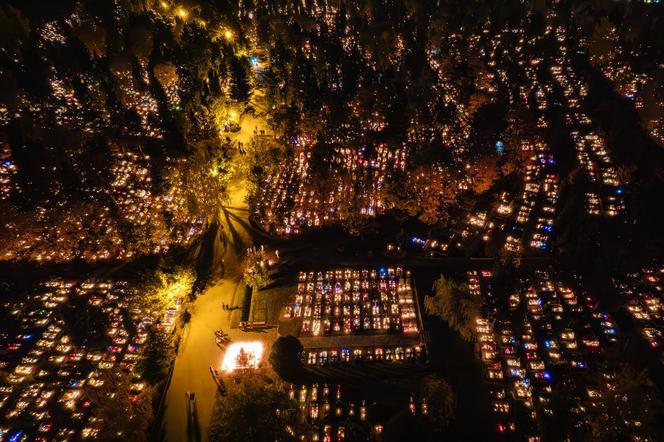 Przepiękne zdjęcia z Cmentarza Łostowickiego w Gdańsku. Tak wyglądał na Wszystkich Świętych