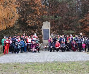 Poszli dla Niepodległej. W Krasnobrodzie odbył się IV. Rajd Nordic Walking