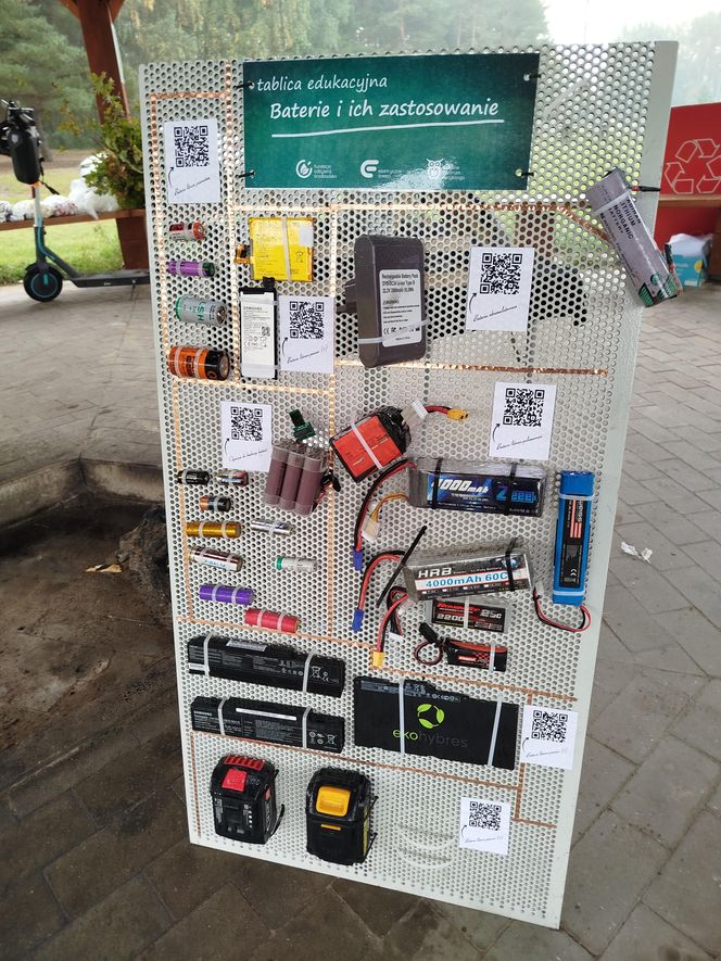 Dębowy Elektryczny Las został zasadzony nad Siedleckim zalewem w ramach programu Polska Stolica Recyklingu