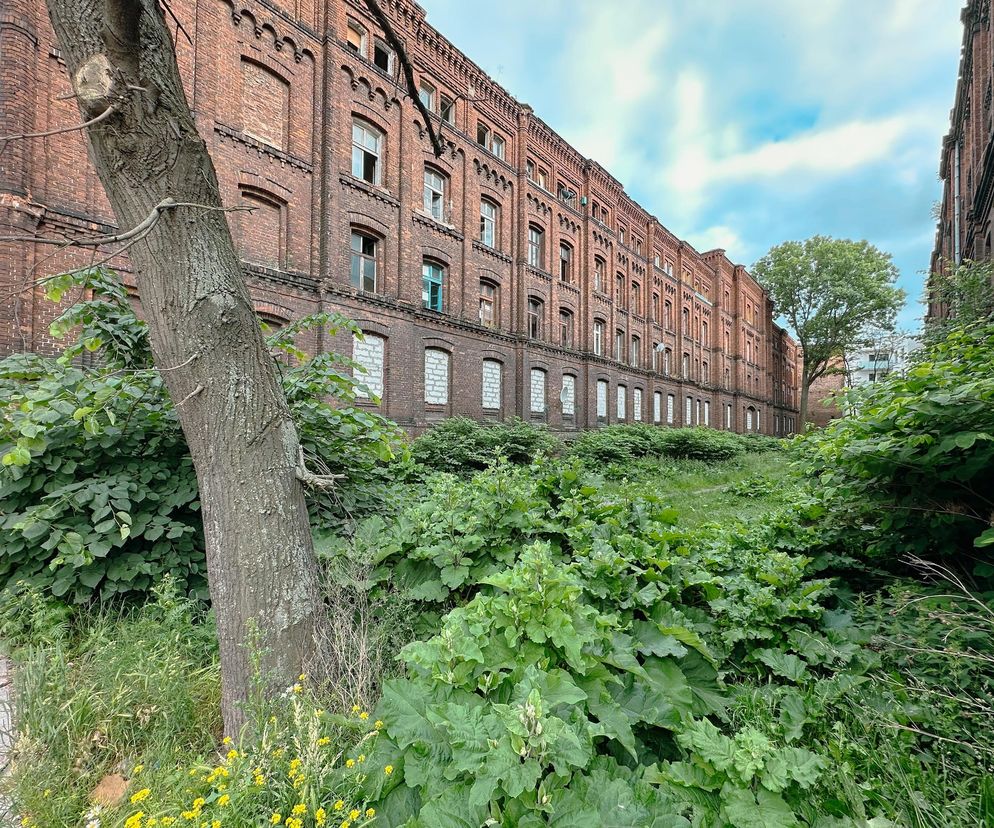 Odwiedziłem łódzkie famuły, które w ciągu najbliższych 5 lat mają stać się kolejną wizytówką podejścia Grupy Arche do renowacji zabytków