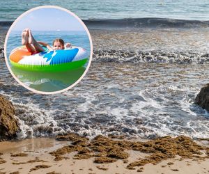 Te plaże Hiszpanii lepiej omijać? Rodzice brzydzą sie puszczać dzieci do wody