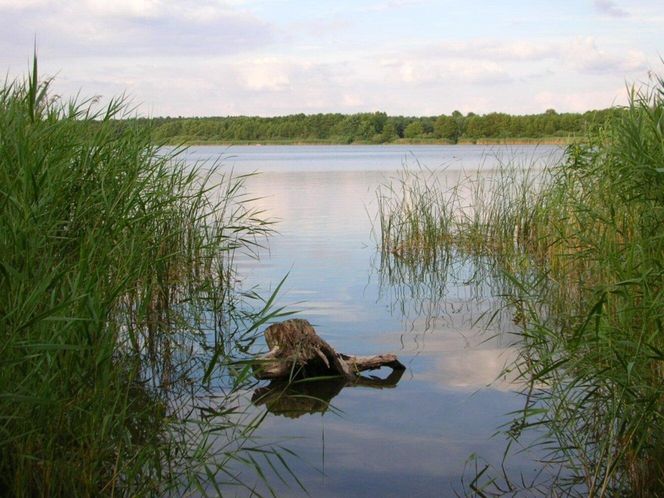 Jezioro