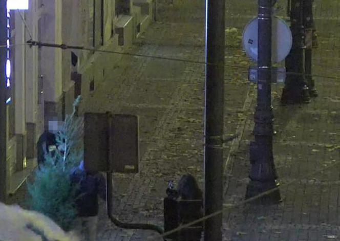 Spacerowali po Bydgoszczy z ukradzioną choinką! Interweniowała policja [ZDJĘCIA]