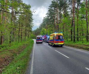 Dachowanie na drodze Wąchock - Mirzec