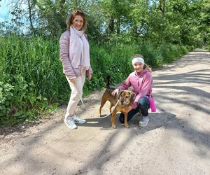 „Wszystkie psiaki nasze są” w schronisku w Henrykowie koło Leszna