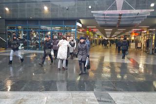 Darmowe przytulanie w Sosnowcu