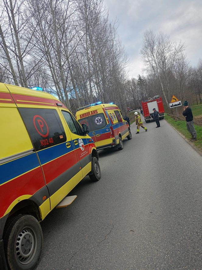 Czermna. Dostawcze IVECO roztrzaskało się na drzewie. Nie żyje kierowca