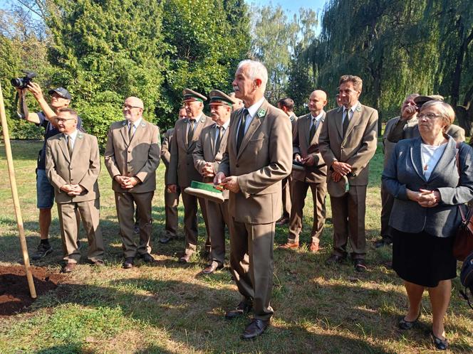 Trzy młode buki purpurowe na Skwerze Leśników Polskich wspólnie zasadzili pracownicy Nadleśnictwa Siedlce i Lasów Państwowych, władze miasta Siedlce i radni.