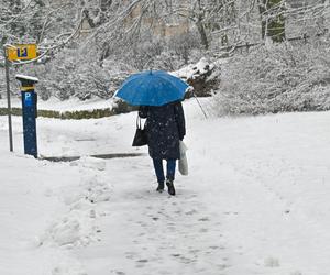 Śnieżny Szczecin 