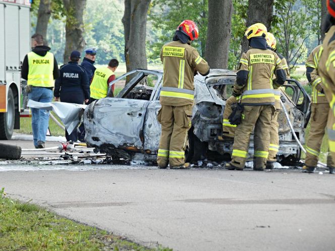 Zwęglone zwłoki w elektrycznym oplu. Samochód uderzył w drzewo i stanął w płomieniach