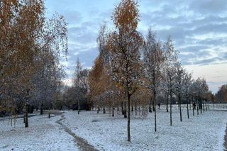 Znajdź spokój i prawdziwą naturę. Odkrywaj Wieniec-Zdrój w okresie jesienno-zimowym!