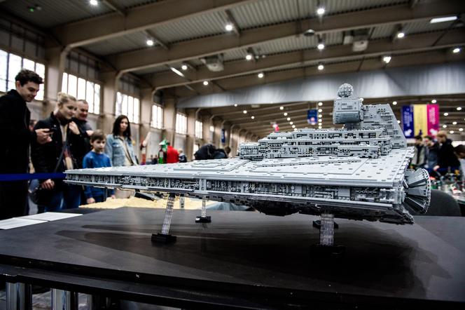 Targi HOBBY i Animal Fest w jednym miejscu. MTP oferują wspaniałą zabawę