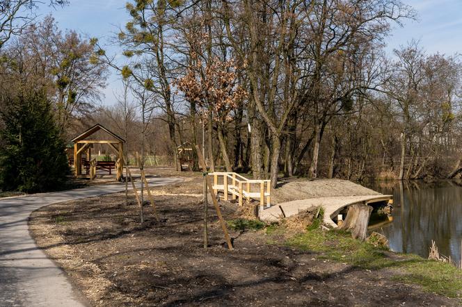 Zabrzański Geopark w Grzybowicach jest już prawie gotowy