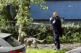 Ostatnie dni były niespokojne. Przerażająca relacja sąsiadów. Wojciech z zimną krwią zamordował mamę Elżbietę