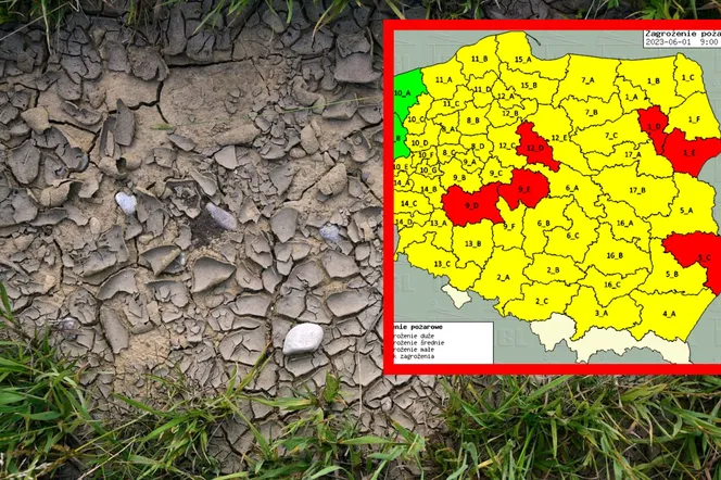 Ogromne zagrożenie suszą i pożarami. Gdzie jest niebezpiecznie? [MAPA]