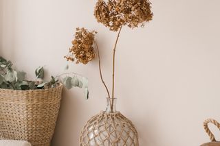 Kaszmirowy kolor ścian