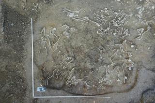 Trwa ekshumacja masowego grobu w Bieszczadach. Odkryto kolejną warstwę szczątków 