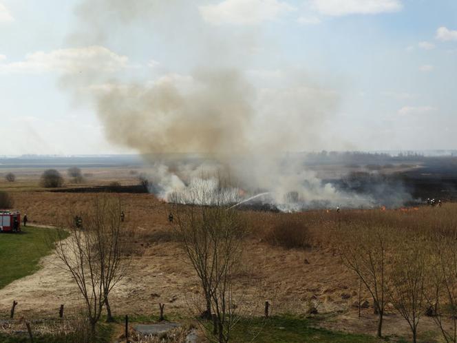 Biebrzański Park Narodowy: Tak płonie natura. Wstrząsające zdjęcia