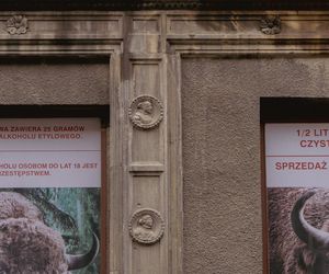 Renesansowy portal w bloku w Świdnicy