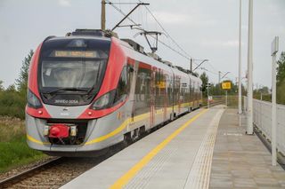 Najpopularniejsze linie ŁKA