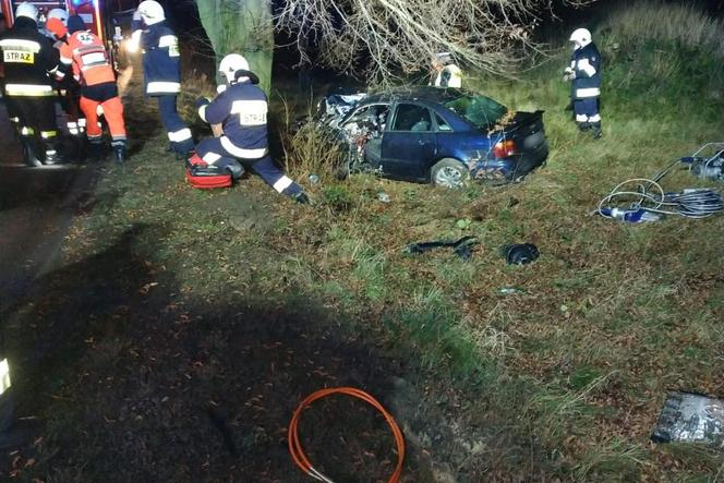 Audi wypadło z drogi i uderzyło w drzewo. Kierowca uwięziony w zmasakrowanym aucie!