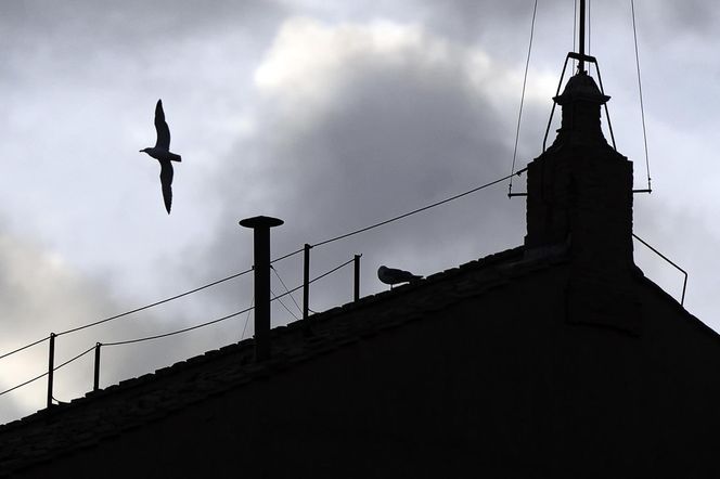 Przygotowania do konklawe 2025 w Kaplicy Sykstyńskiej