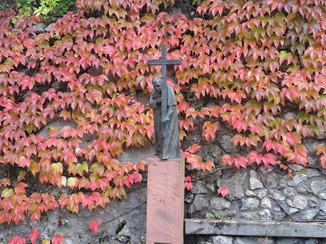 Ogród za kościołem św. Józefa w Krakowie