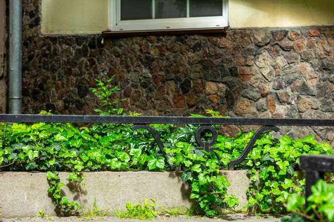 Dom pod żaglem w Warszawie