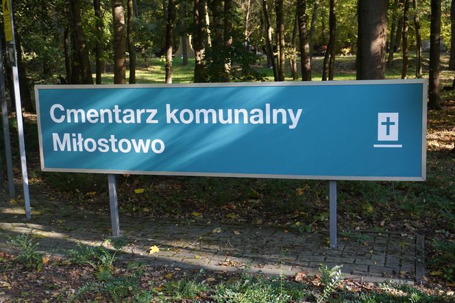 Cmentarz na Miłostowie na dwa tygodnie przed Wszystkimi Świętymi