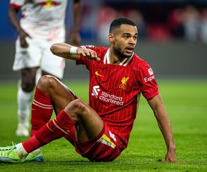 Cody Gakpo - gwiazda Holandii i Liverpoolu