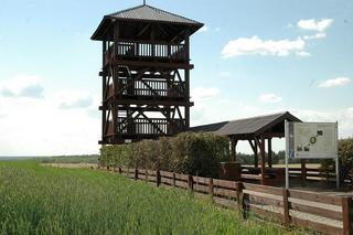 Wieża widokowa w Dusznie