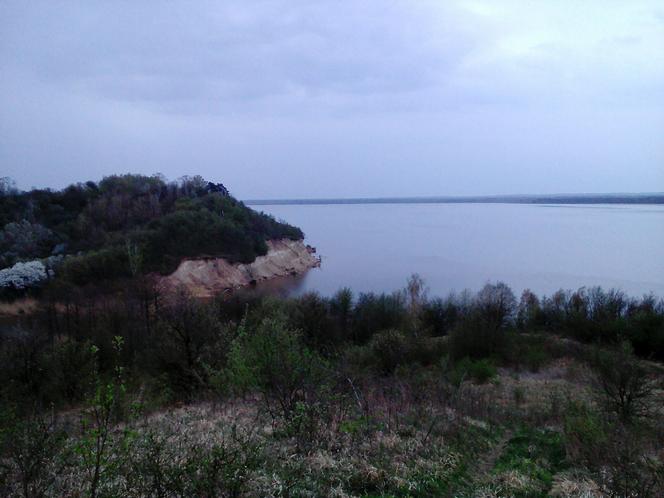 Widok z Tulibowa na zalew