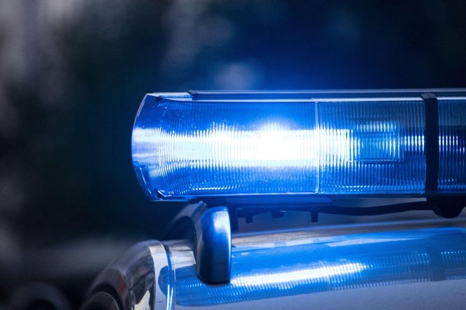 Spacerował z psem. Nagle natrafił na makabryczne znalezisko