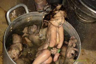 Robią zupę z nienarodzonych dzieci. Te zdjęcia wstrząsnęły światem! [UWAGA DRASTYCZNE ZDJĘCIA]