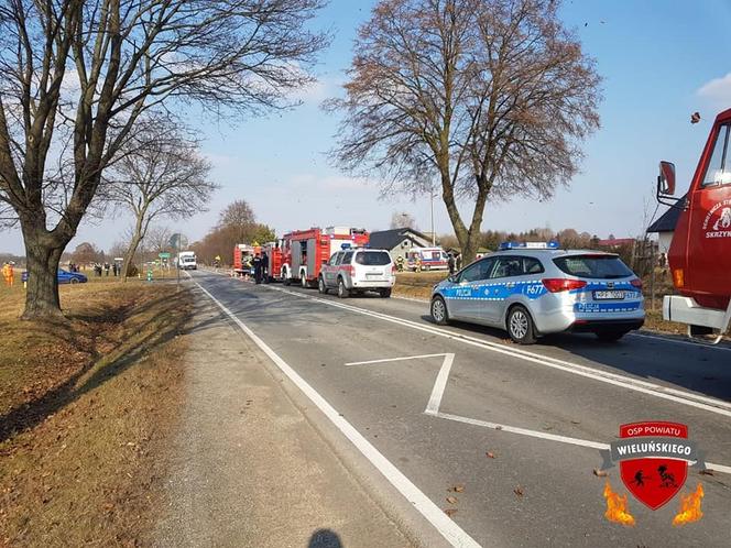 Strażacy jechali do pożaru, na akcję jednak nie dotarli. Masakra busa z wozem strażackim [FOTO]