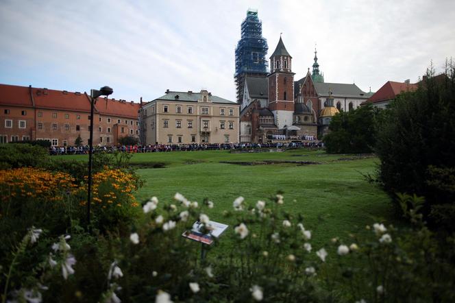 Pielgrzyma na Jasną Górę ruszyła z Krakowa. Tłumy uczestników zmierzają do Częstochowy