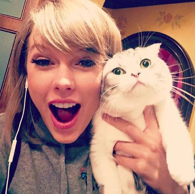 Taylor Swift z kotem